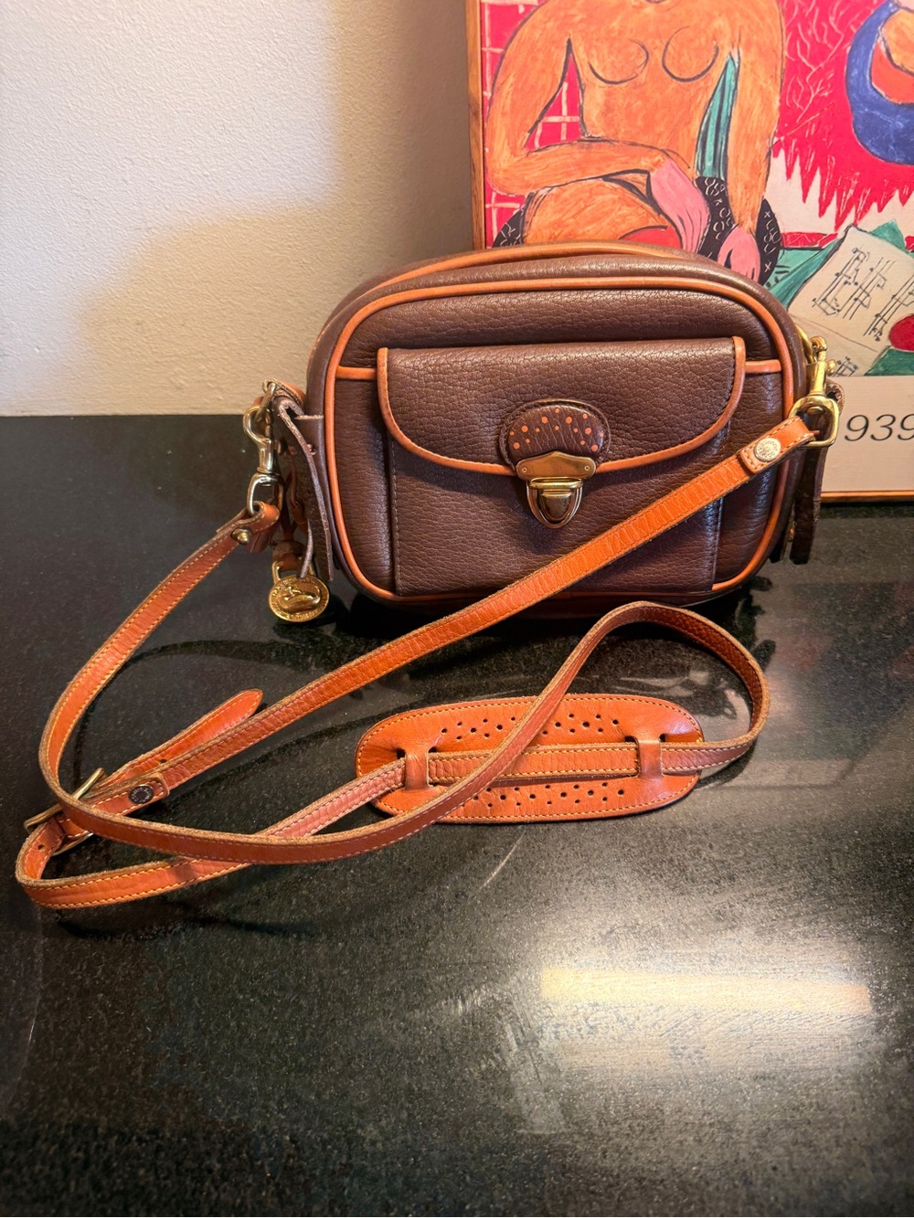 Brown & Tan Leather Crossbody Camera Bag - Picture 3 of 14